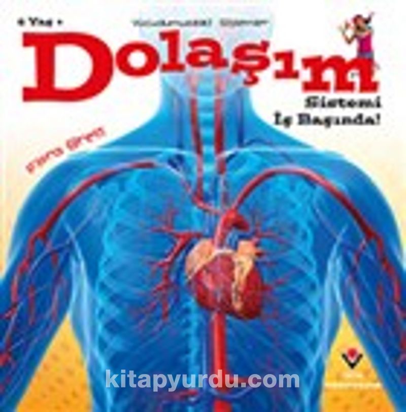 Dolaşım Sistemi İş Başında! - Vücudumuzdaki Sistemler