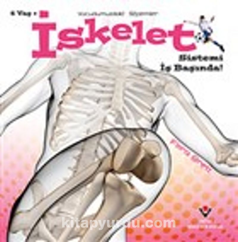 İskelet Sistemi İş Başında! - Vücudumuzdaki Sistemler
